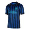 Camiseta Inter (nike)